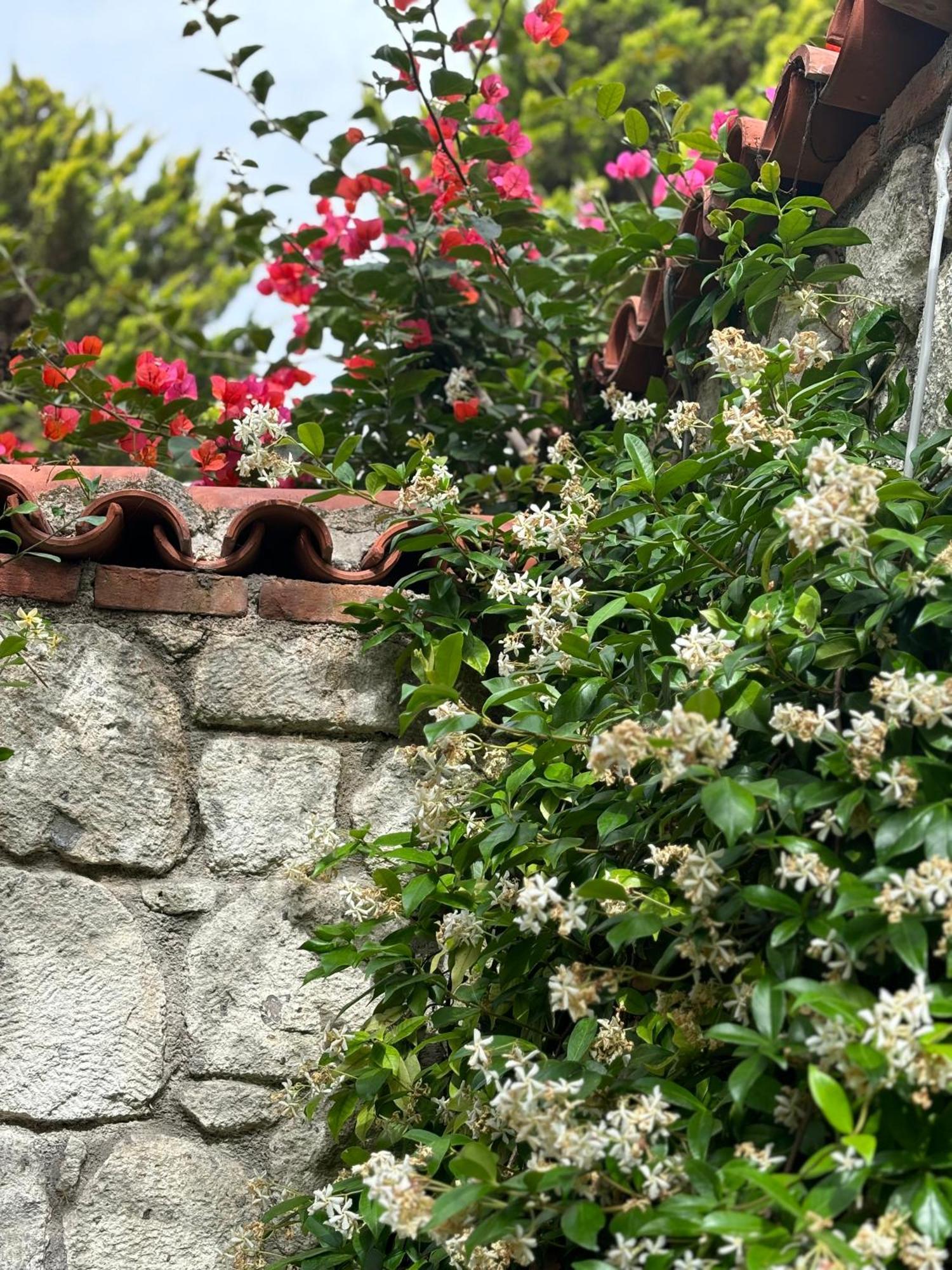 Tasdelen Hotel Alacati Exterior foto